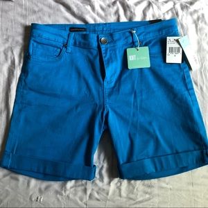 Stitch Fix Kut from the Kloth Boyfriend shorts